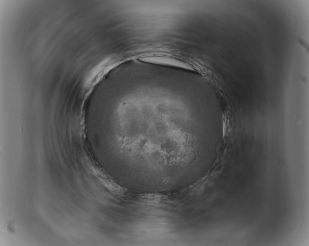 X0000099540339200805161433