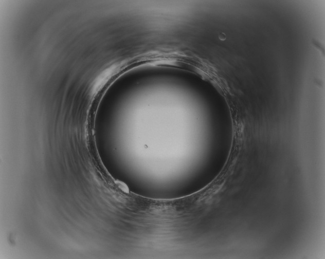 X0000099540340200805161433