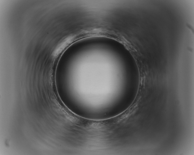 X0000099540341200805161433