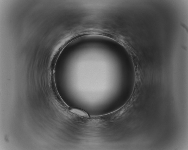 X0000099540342200805161433