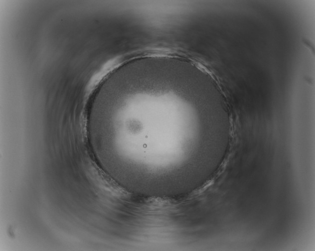 X0000099540343200805161433