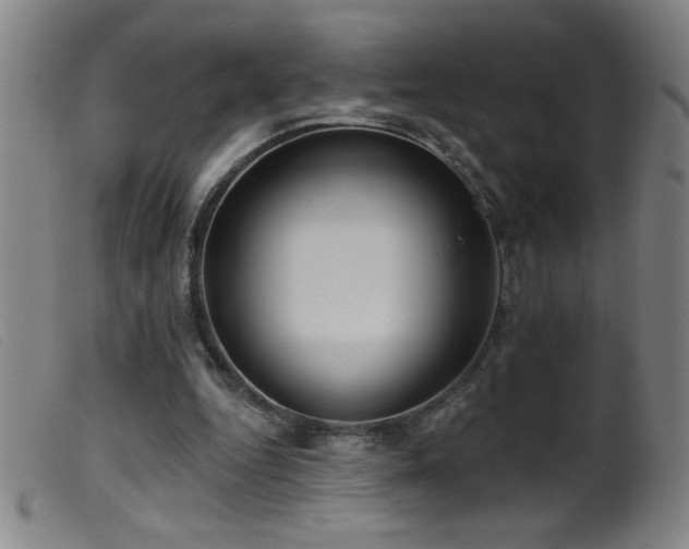 X0000099540344200805161433