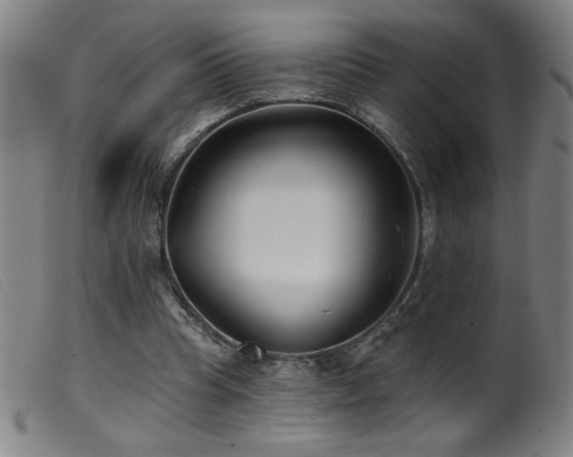 X0000099540345200805161433