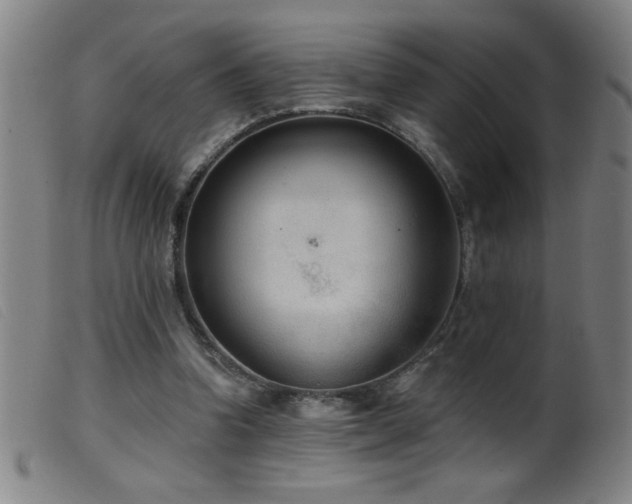 X0000099540346200805161433