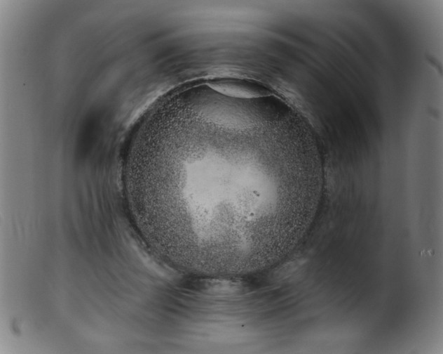 X0000099540347200805161433