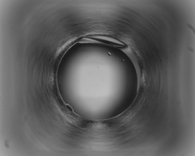 X0000099540348200805161433