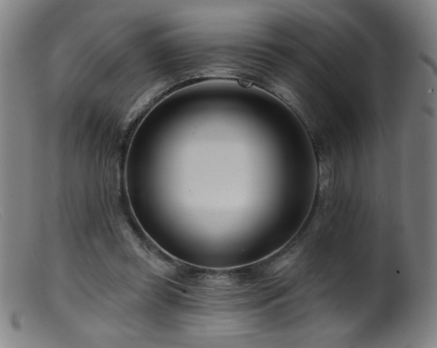 X0000099540349200805161433