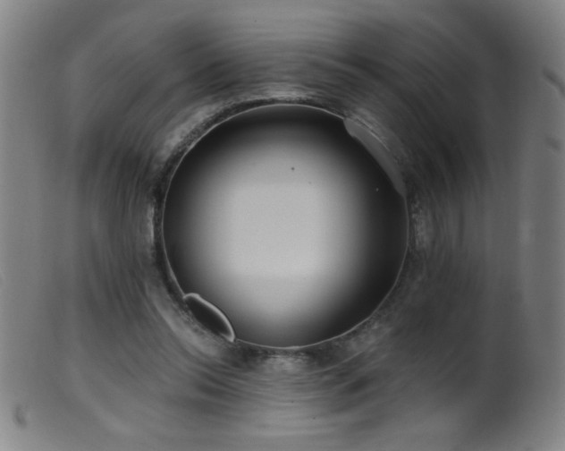 X0000099540350200805161433