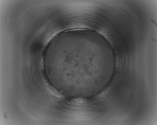 X0000099540351200805161433