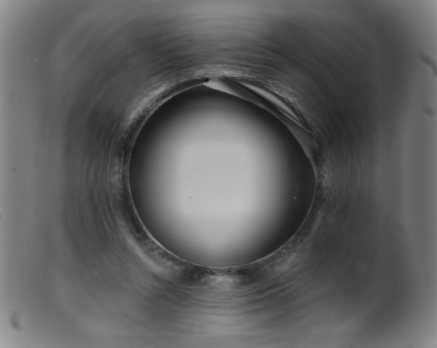 X0000099540352200805161433