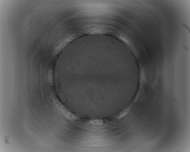 X0000099540353200805161433