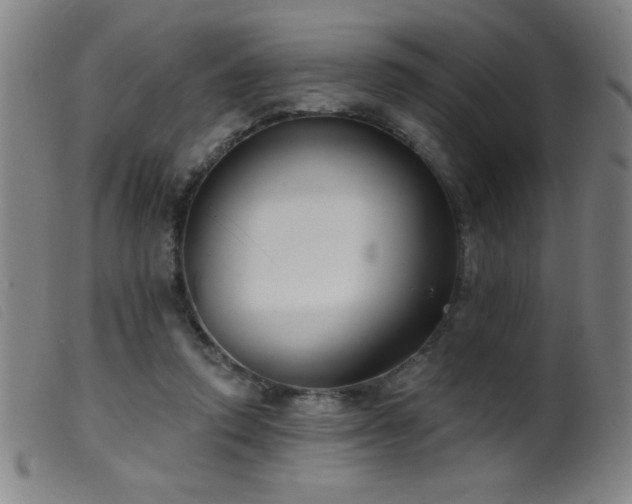 X0000099540354200805161433