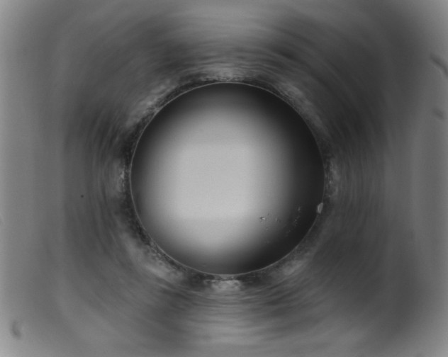 X0000099540355200805161433