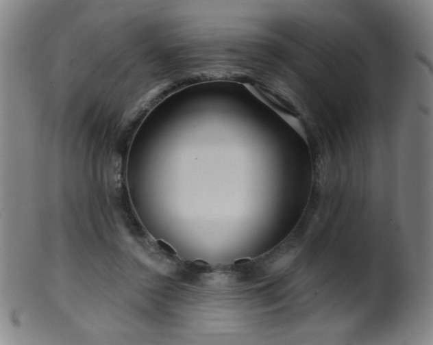 X0000099540356200805161433