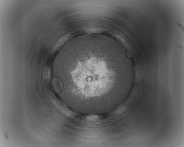 X0000099540357200805161433