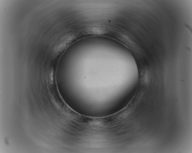 X0000099540358200805161433