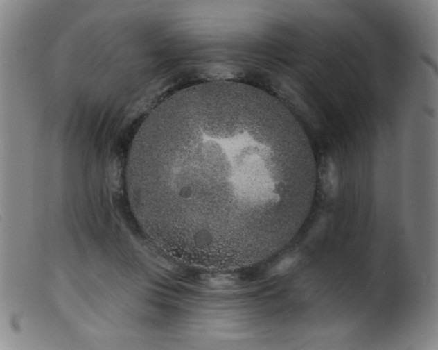 X0000099540359200805161433