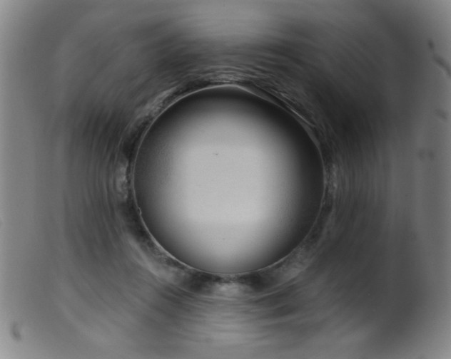 X0000099540360200805161433