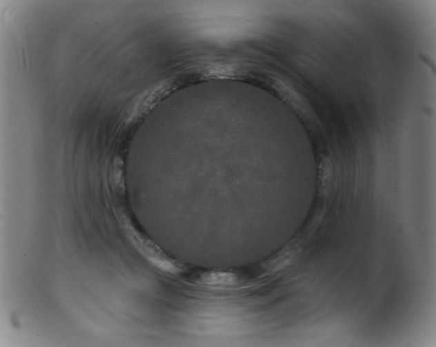 X0000099540361200805161433