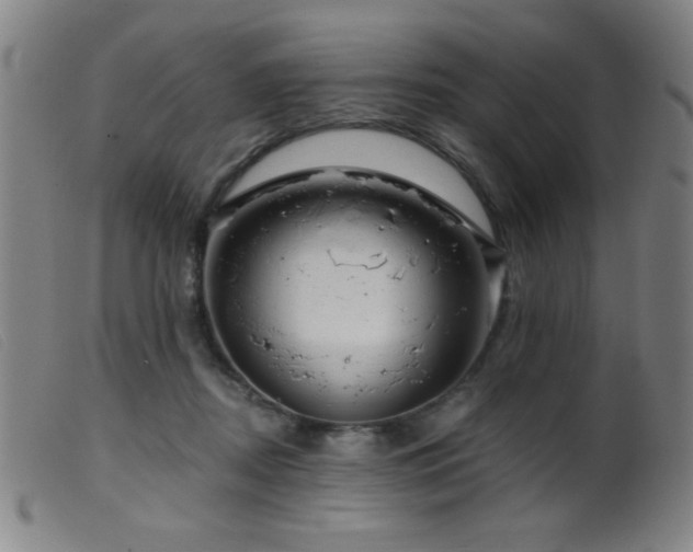 X0000099540362200805161433