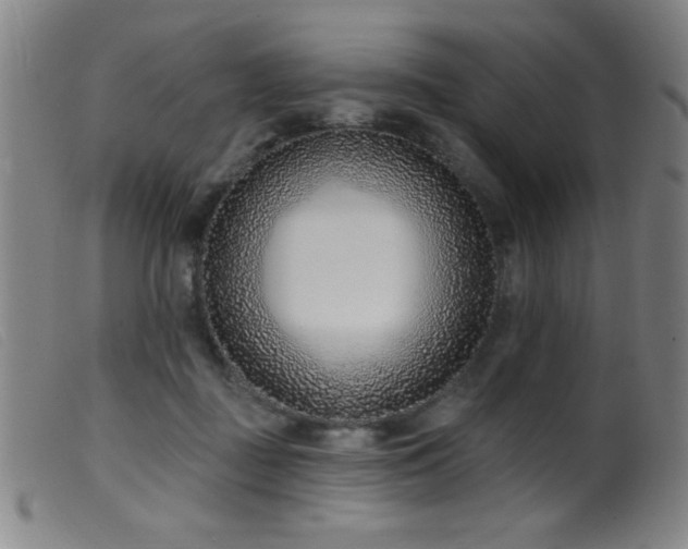 X0000099540363200805161433