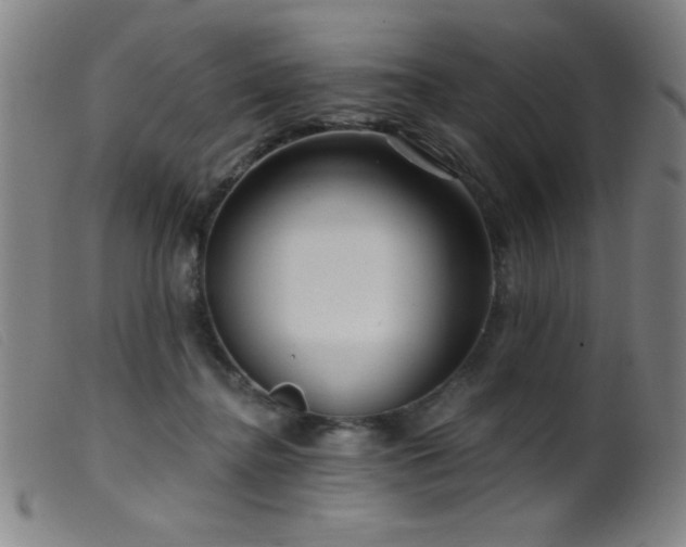 X0000099540364200805161433