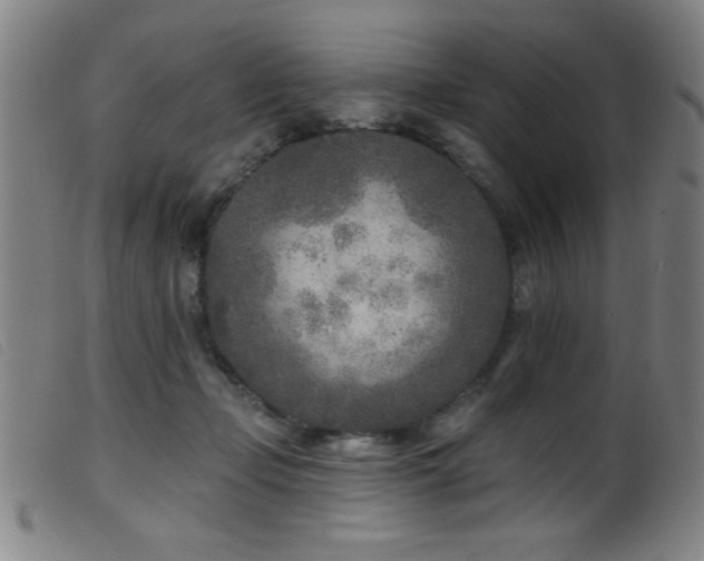 X0000099540365200805161433