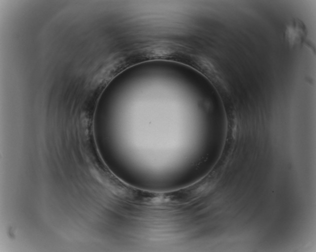 X0000099540366200805161433