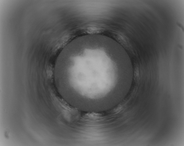 X0000099540367200805161433