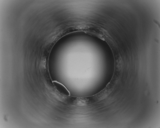 X0000099540368200805161433