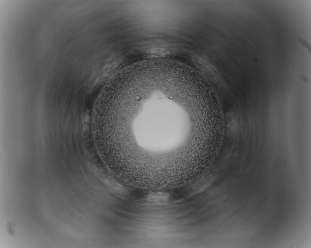 X0000099540369200805161433