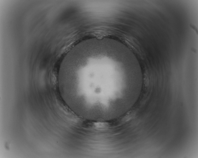 X0000099540371200805161433