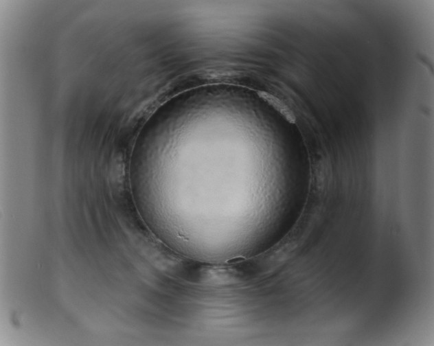 X0000099540372200805161433