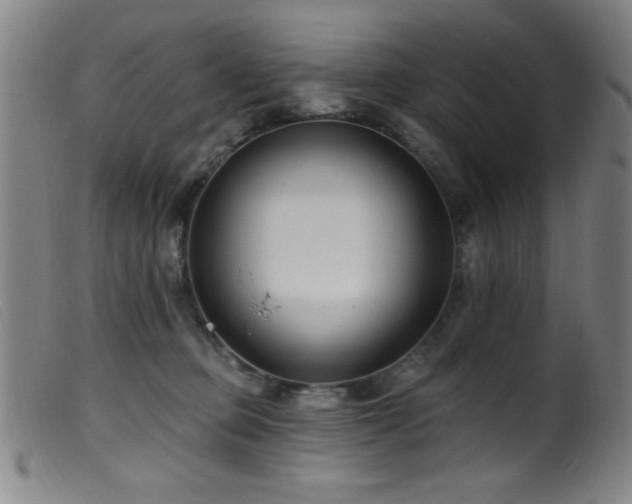 X0000099540373200805161433