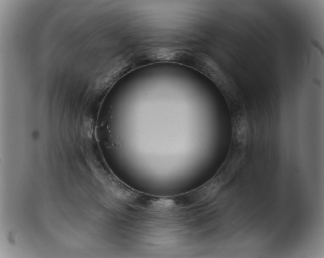 X0000099540374200805161433