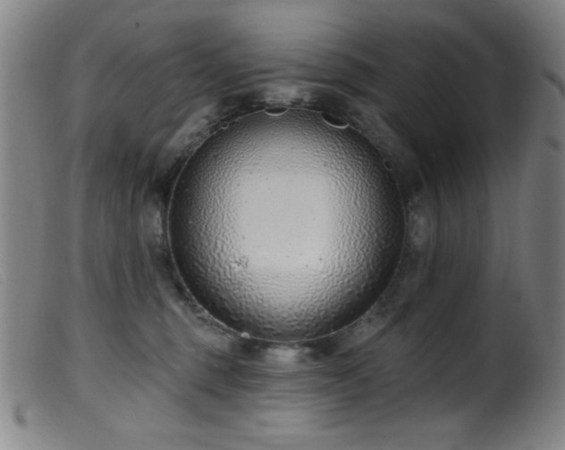 X0000099540375200805161433