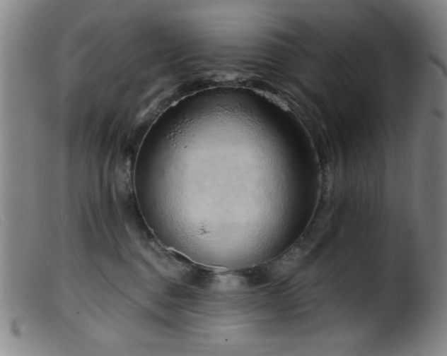 X0000099540376200805161433