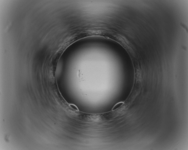 X0000099540377200805161433