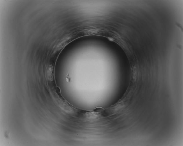 X0000099540378200805161433