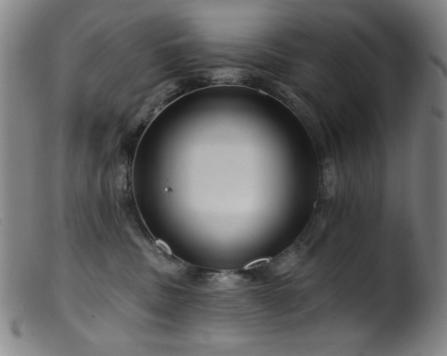 X0000099540379200805161433