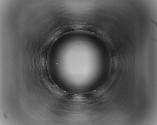 X0000099540380200805161433