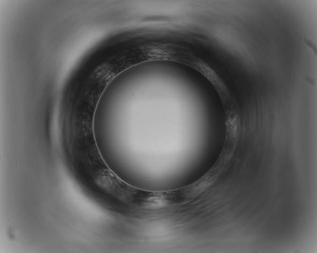 X0000099540381200805161433