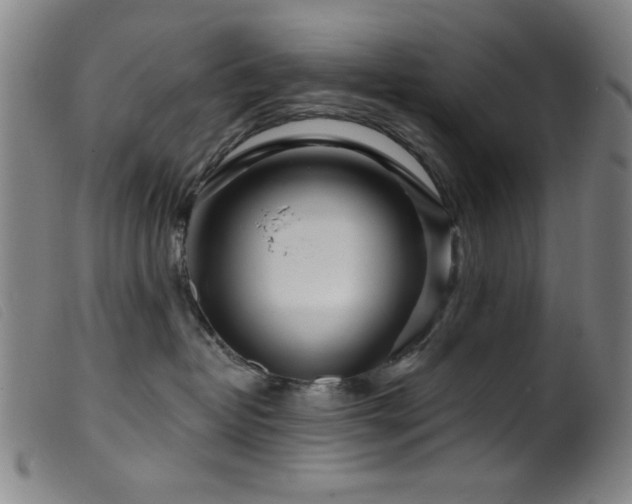 X0000099540382200805161433