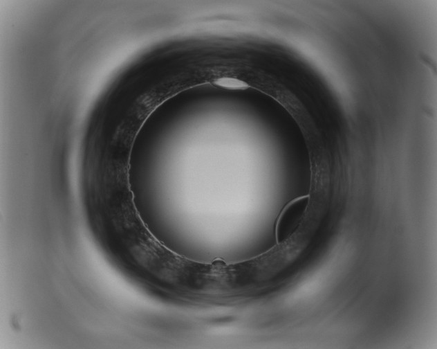 X0000099540383200805161433