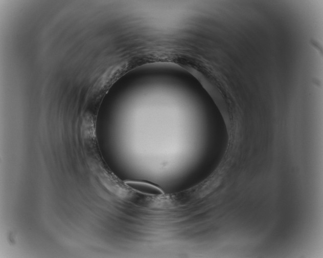 X0000099540384200805161433