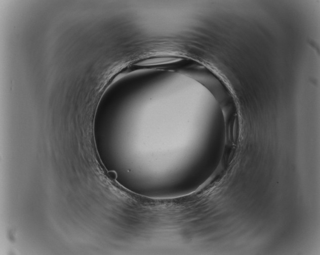 X0000099540385200805161433