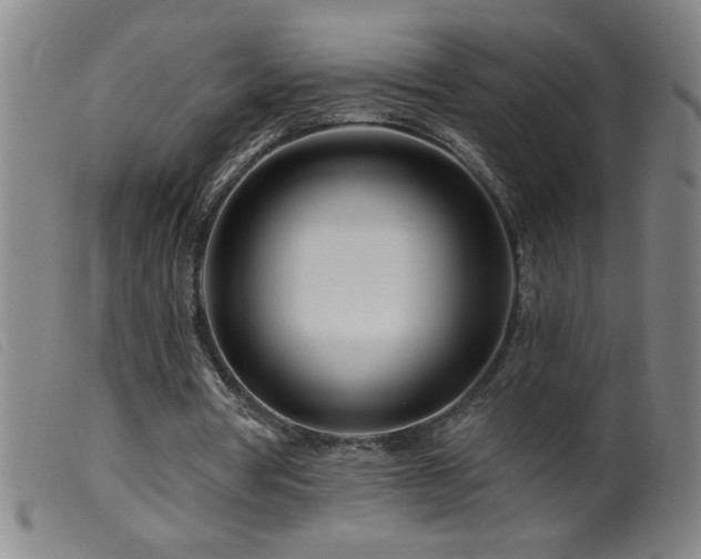 X0000099540386200805161433