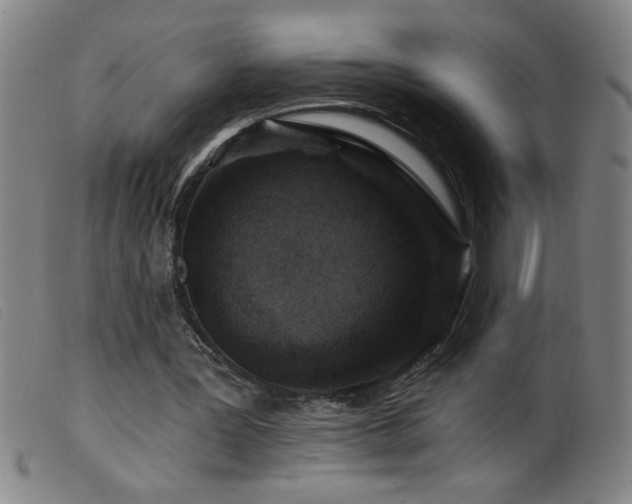 X0000099540387200805161433