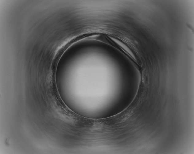 X0000099540388200805161433