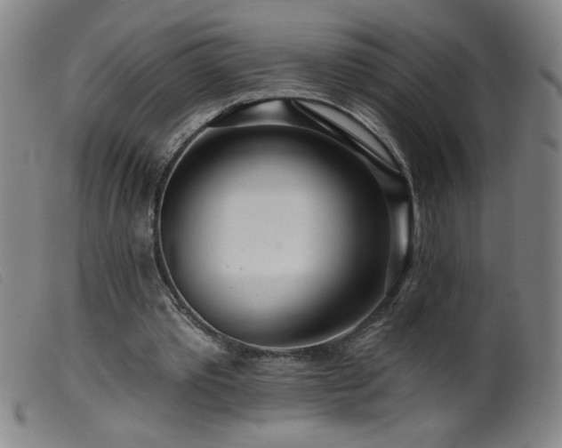 X0000099540389200805161433